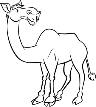 Line drawing cartoon a camel in black and white color - Vector illustration