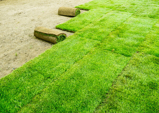 Rollrasen ausrollen