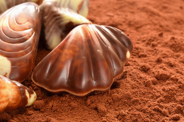 Praline chocolate