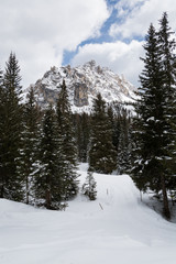 Alpi Bellunesi e lago di Misurina