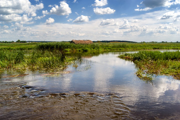 Narwiański Park Narodowy © podlaski49