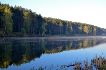 The forest is reflected in the calm blue water of the forest lake. Early morning.