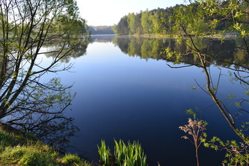 Forest is reflected in the calm blue water of the forest lake. Early morning.