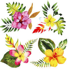 Watercolor set with tropical leaves and flowers, bouquets.