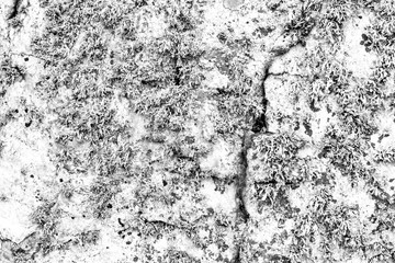 Wall fragment with scratches and cracks