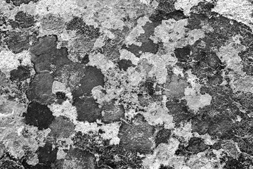 Wall fragment with scratches and cracks