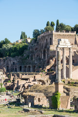View of Foro Romano in rome