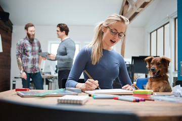 Female of designer at desk with dog in design studio