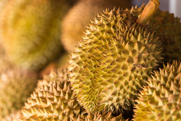 Naklejka na ściany i meble Ripe fruits of durian