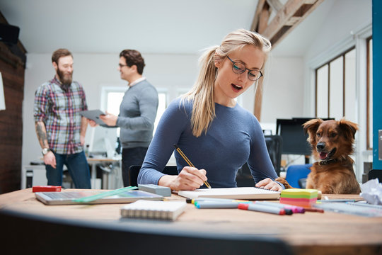Female of designer at desk with dog in design studio