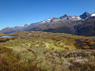 Routeburn track, New Zealand
