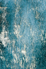 wood grungy background with space for your design