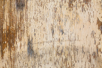 aged pastel paint on old wooden planks grunge texture