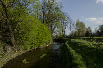 rzeka 