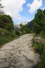 Fototapeta na wymiar sentiero in Val di Mello