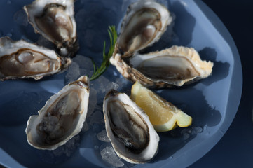 Fresh oysters on a tray with piece of lemon