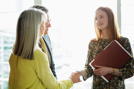 Business colleagues making introductions