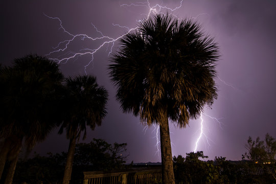 Lightning strikes behind palm trees at Merritt Island, viewed from the State Road 520 Causeway bridge crossing Indian River Lagoon, Florida