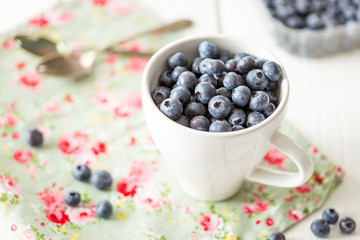 Tasty Blueberries Fruit in White Bowl, Horizontal View