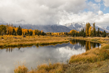 Scenic Autumn Landscape