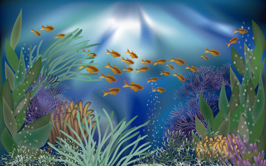 Fototapeta na wymiar Underwater tropical wallpaper, vector illustration
