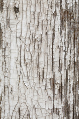 aged white paint on old wooden planks grunge texture