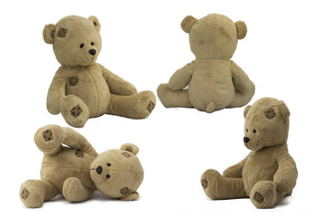 teddy bear  in many positions,isolated on white background