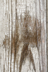 aged white paint on old wooden planks grunge texture