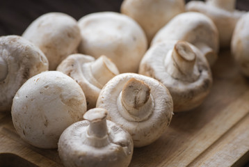 Fresh dirty сhampignon mushroom before peel on the wooden table