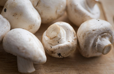 Fresh dirty сhampignon mushroom before peel on the wooden table