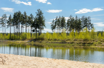 Bright landscape in a sunny day. A small pond in countryside with sand on a foreground and pines and birches on a background.