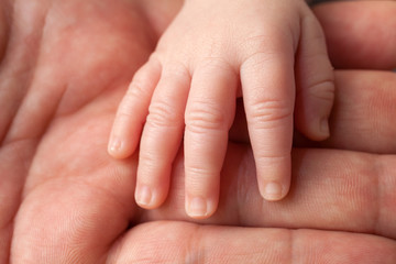 A newborn rests his hand on the palm of his father