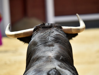 toro