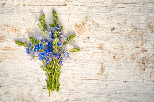 Fototapeta bunch of forget me not flowers on a wooden background with copy space for your text
