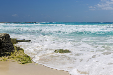 Shore on the Caribbean sea. Turquoise water and sunny day.