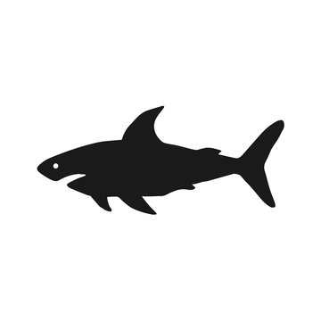 Black shark on isolated white background