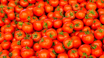group of red ripe tomatoes
