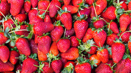 red strawberry. background