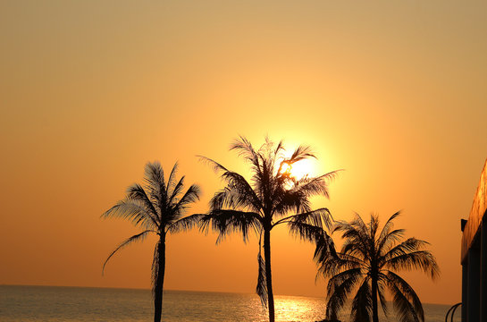 Beautiful sunset over palm trees on the background of the ocean in Thailand