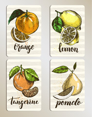 Set of cards with citrus fruits. Posters with hand drawn elements and brush calligraphy style lettering. Label or signboard template, vector illustration. - 158883316