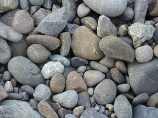pebbles