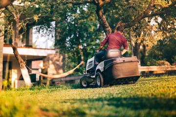 Male worker using professional lawn mower for trimming backyard grass. Lansdscaping works in progress