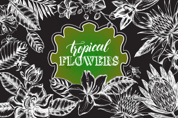Background with Ink hand drawn exotic tropical flowers and leaves. Template for invitations, cards, labels. Vector illustration.