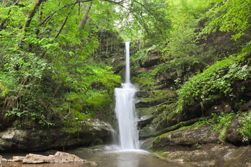 Beautiful waterfall in green forest in jungle. Jungle landscape with flowing red water of waterfall at deep tropical rain forest. National Park Old Mountain, Serbia