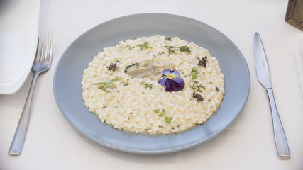 food, plate, cuisine, delicious, dinner, oyster, cooked, meat, background, healthy, rice, seafood