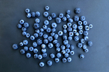 Blueberries on dark background. Top view. 
