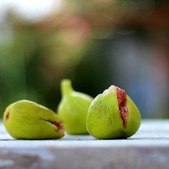 Three organic figs picked from a garden. Selective focus.
