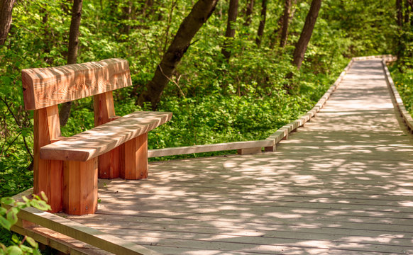 Wooden bench on wooden walkway. Play of light on ground and furniture. Stenshuvud national park in Sweden.