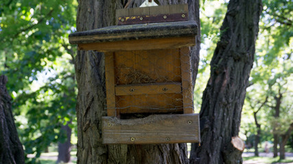 Bird House