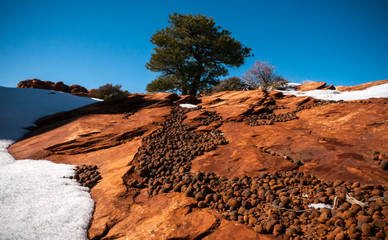 Sandstone mountain pebbles in winter